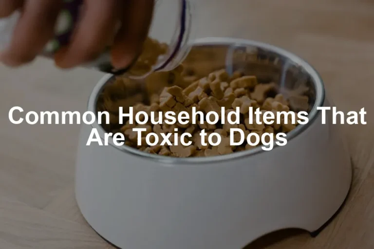 Featured image for Common Household Items That Are Toxic to Dogs