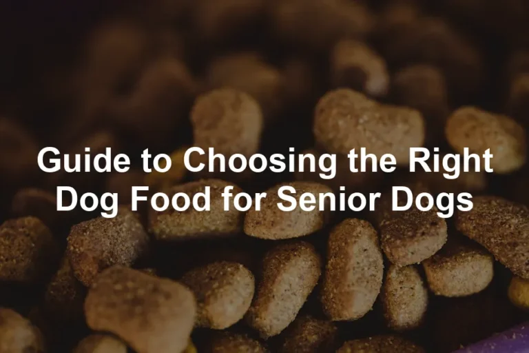 Featured image for Guide to Choosing the Right Dog Food for Senior Dogs
