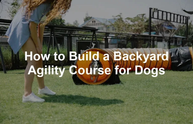 Featured image for How to Build a Backyard Agility Course for Dogs