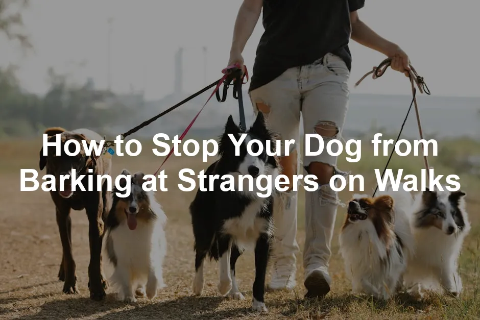 Featured image for How to Stop Your Dog from Barking at Strangers on Walks