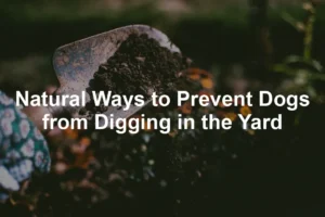 Featured image for Natural Ways to Prevent Dogs from Digging in the Yard