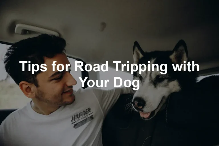 Featured image for Tips for Road Tripping with Your Dog