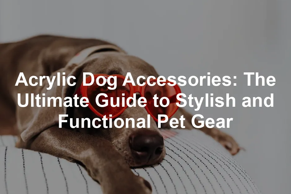 Featured image for Acrylic Dog Accessories: The Ultimate Guide to Stylish and Functional Pet Gear