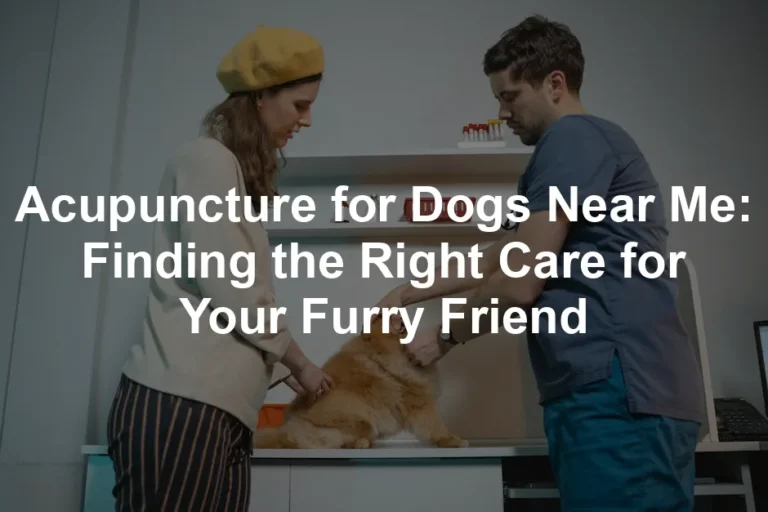 Featured image for Acupuncture for Dogs Near Me: Finding the Right Care for Your Furry Friend
