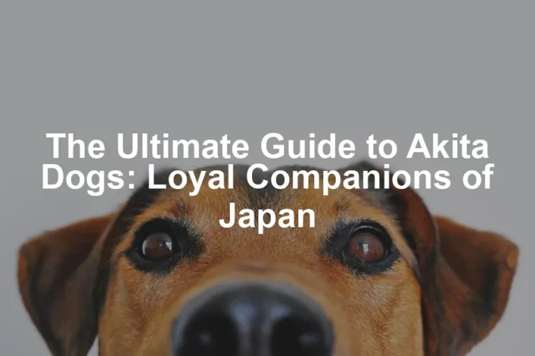 Featured image for The Ultimate Guide to Akita Dogs: Loyal Companions of Japan