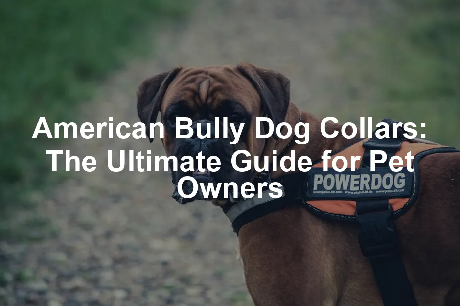 Featured image for American Bully Dog Collars: The Ultimate Guide for Pet Owners