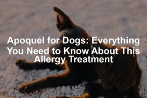 Featured image for Apoquel for Dogs: Everything You Need to Know About This Allergy Treatment