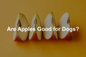 Featured image for Are Apples Good for Dogs?
