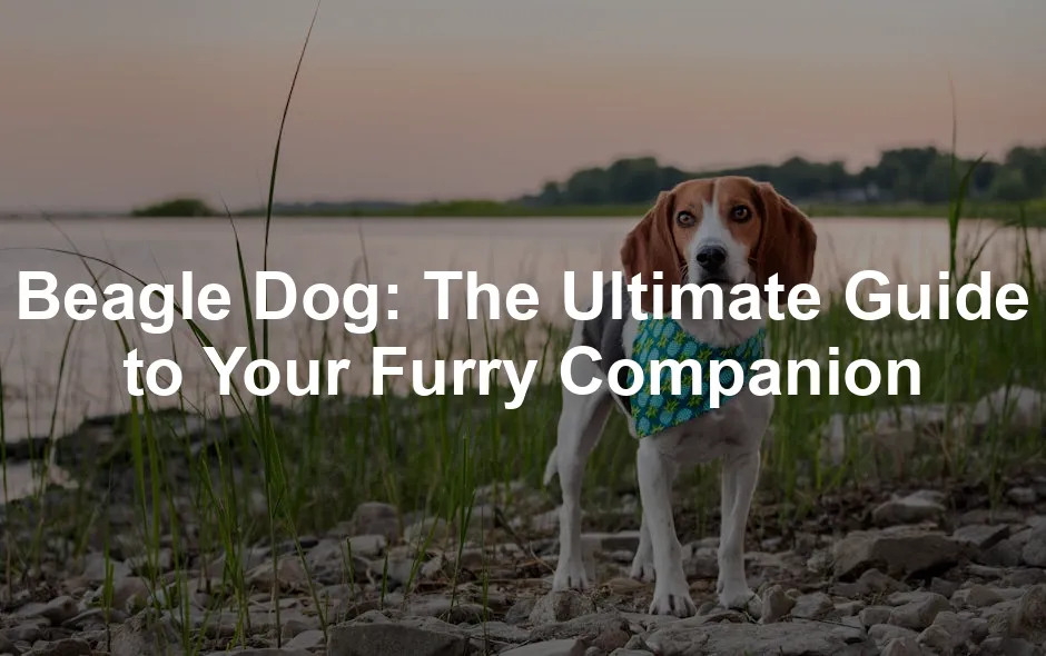 Featured image for Beagle Dog: The Ultimate Guide to Your Furry Companion