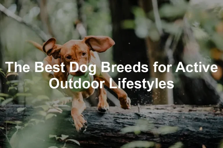 Featured image for The Best Dog Breeds for Active Outdoor Lifestyles