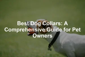 Featured image for Best Dog Collars: A Comprehensive Guide for Pet Owners