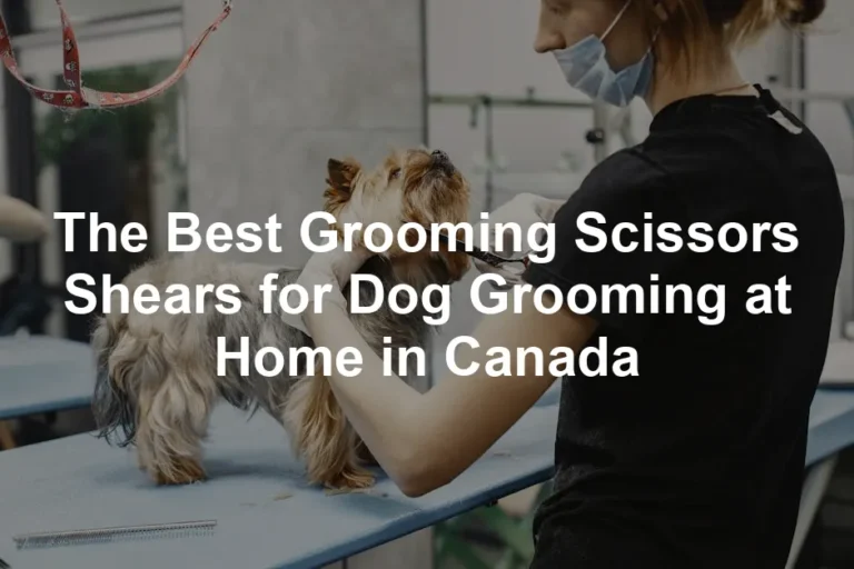 Featured image for The Best Grooming Scissors Shears for Dog Grooming at Home in Canada