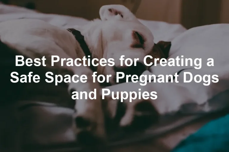 Featured image for Best Practices for Creating a Safe Space for Pregnant Dogs and Puppies
