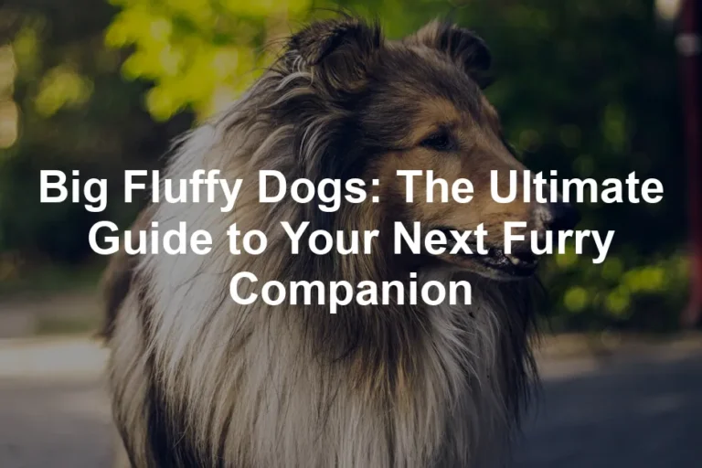 Featured image for Big Fluffy Dogs: The Ultimate Guide to Your Next Furry Companion