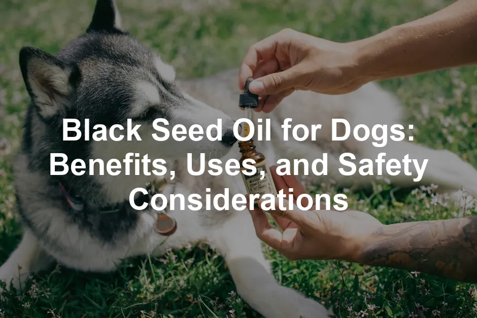 Featured image for Black Seed Oil for Dogs: Benefits, Uses, and Safety Considerations