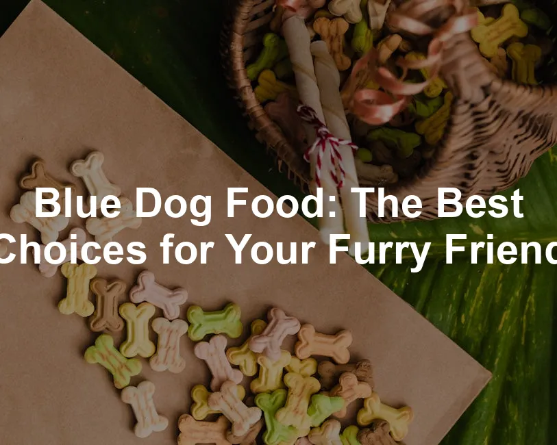 Featured image for Blue Dog Food: The Best Choices for Your Furry Friend