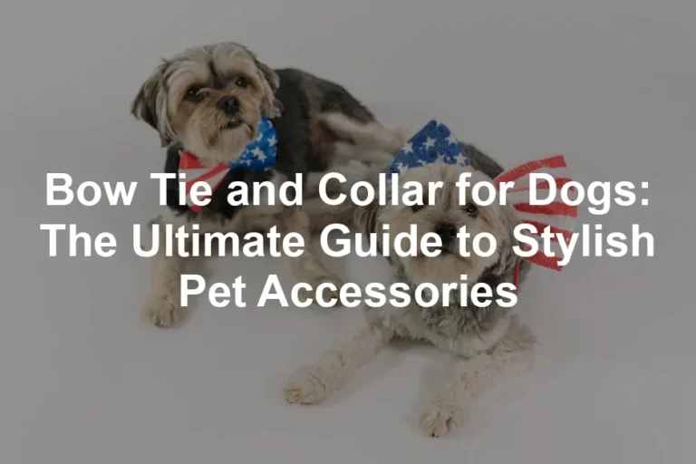 Featured image for Bow Tie and Collar for Dogs: The Ultimate Guide to Stylish Pet Accessories