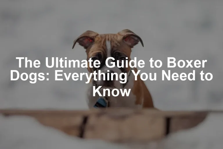 Featured image for The Ultimate Guide to Boxer Dogs: Everything You Need to Know