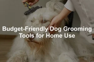 Featured image for Budget-Friendly Dog Grooming Tools for Home Use