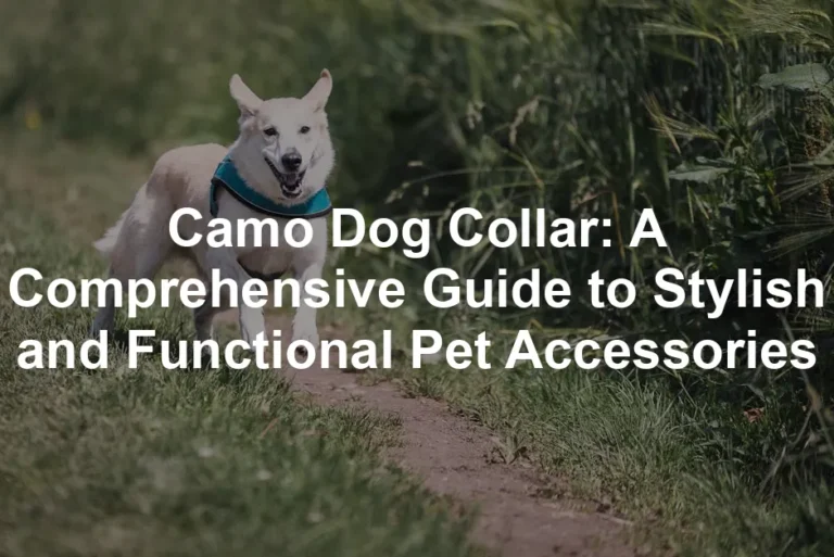 Featured image for Camo Dog Collar: A Comprehensive Guide to Stylish and Functional Pet Accessories