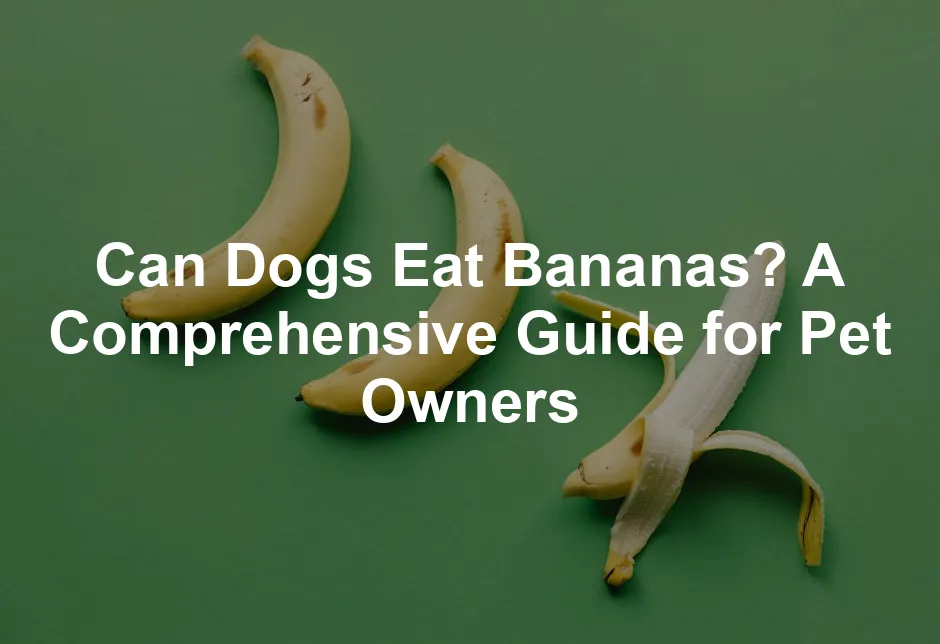 Featured image for Can Dogs Eat Bananas? A Comprehensive Guide for Pet Owners