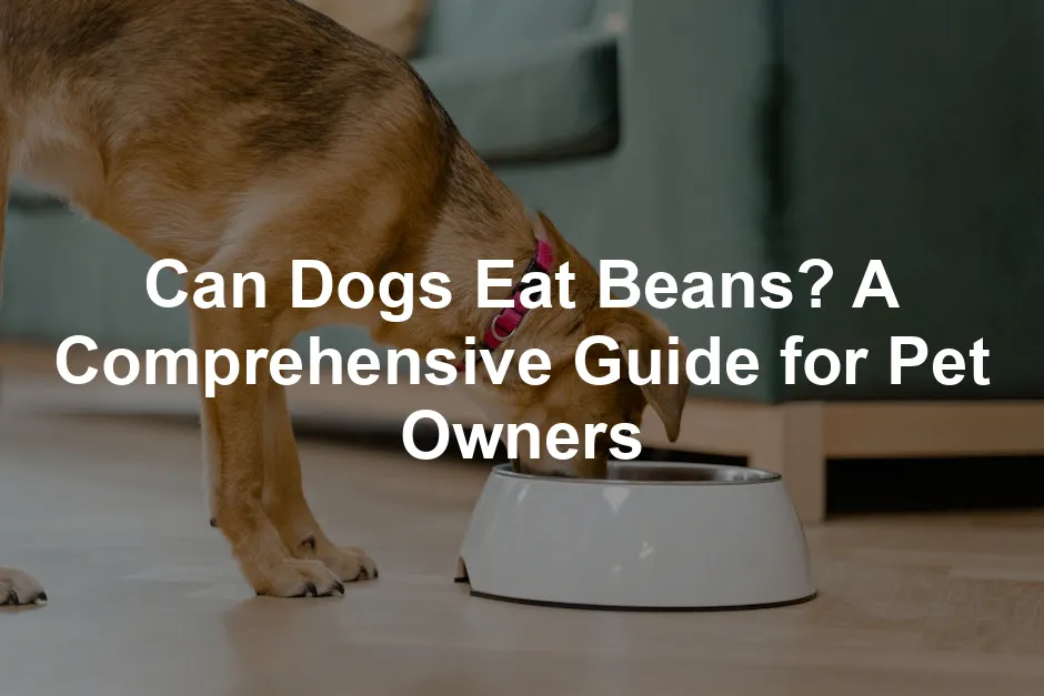 Featured image for Can Dogs Eat Beans? A Comprehensive Guide for Pet Owners