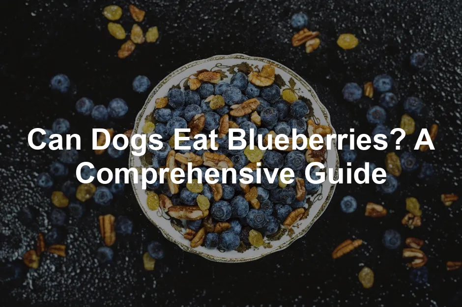 Featured image for Can Dogs Eat Blueberries? A Comprehensive Guide