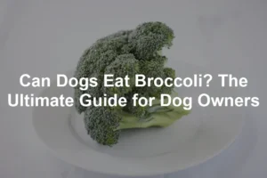 Featured image for Can Dogs Eat Broccoli? The Ultimate Guide for Dog Owners