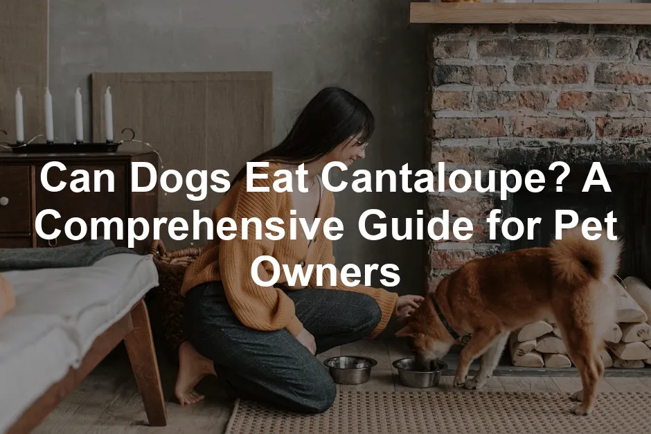 Featured image for Can Dogs Eat Cantaloupe? A Comprehensive Guide for Pet Owners