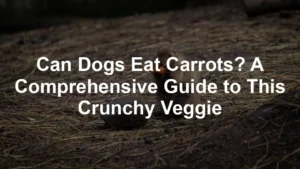 Featured image for Can Dogs Eat Carrots? A Comprehensive Guide to This Crunchy Veggie