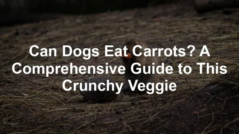 Featured image for Can Dogs Eat Carrots? A Comprehensive Guide to This Crunchy Veggie