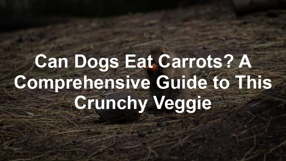 Featured image for Can Dogs Eat Carrots? A Comprehensive Guide to This Crunchy Veggie