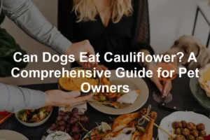 Featured image for Can Dogs Eat Cauliflower? A Comprehensive Guide for Pet Owners