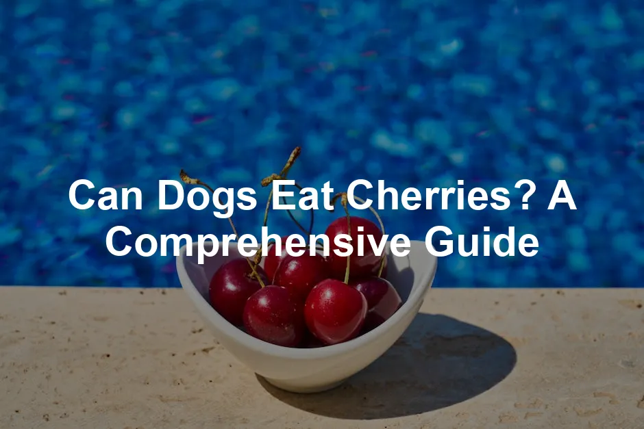 Featured image for Can Dogs Eat Cherries? A Comprehensive Guide