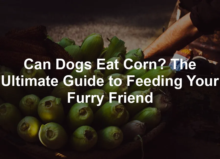 Featured image for Can Dogs Eat Corn? The Ultimate Guide to Feeding Your Furry Friend