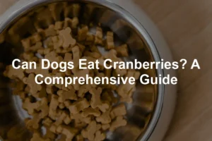 Featured image for Can Dogs Eat Cranberries? A Comprehensive Guide