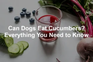 Featured image for Can Dogs Eat Cucumbers? Everything You Need to Know