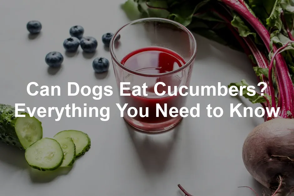 Featured image for Can Dogs Eat Cucumbers? Everything You Need to Know