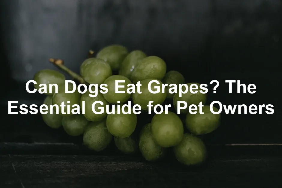 Featured image for Can Dogs Eat Grapes? The Essential Guide for Pet Owners