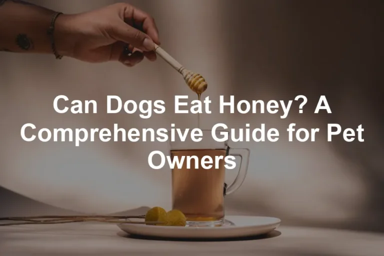 Featured image for Can Dogs Eat Honey? A Comprehensive Guide for Pet Owners