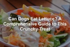 Featured image for Can Dogs Eat Lettuce? A Comprehensive Guide to This Crunchy Treat