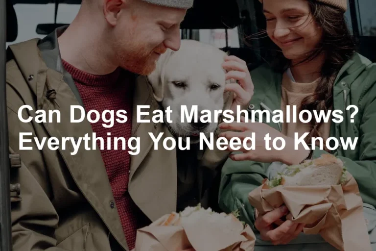 Featured image for Can Dogs Eat Marshmallows? Everything You Need to Know