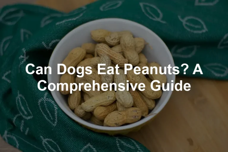 Featured image for Can Dogs Eat Peanuts? A Comprehensive Guide