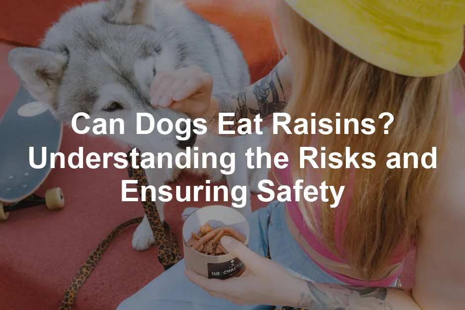 Featured image for Can Dogs Eat Raisins? Understanding the Risks and Ensuring Safety