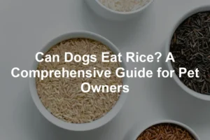 Featured image for Can Dogs Eat Rice? A Comprehensive Guide for Pet Owners