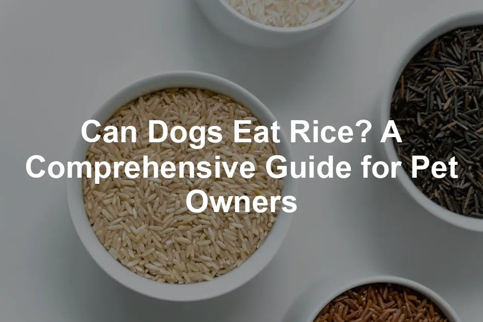 Featured image for Can Dogs Eat Rice? A Comprehensive Guide for Pet Owners