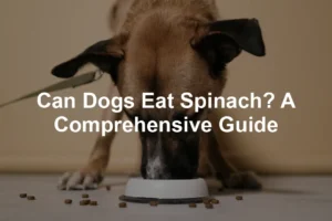 Featured image for Can Dogs Eat Spinach? A Comprehensive Guide