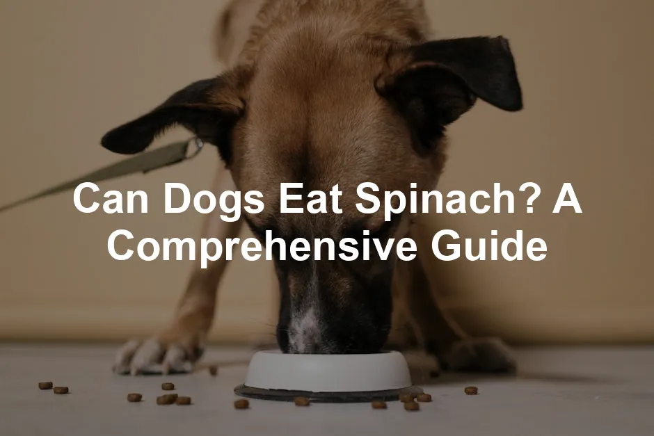 Featured image for Can Dogs Eat Spinach? A Comprehensive Guide