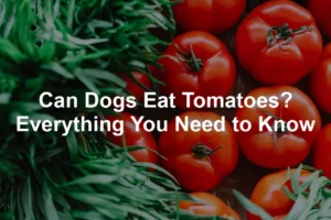 Featured image for Can Dogs Eat Tomatoes? Everything You Need to Know