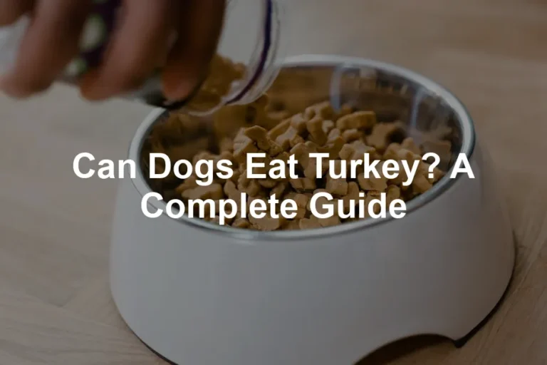 Featured image for Can Dogs Eat Turkey? A Complete Guide
